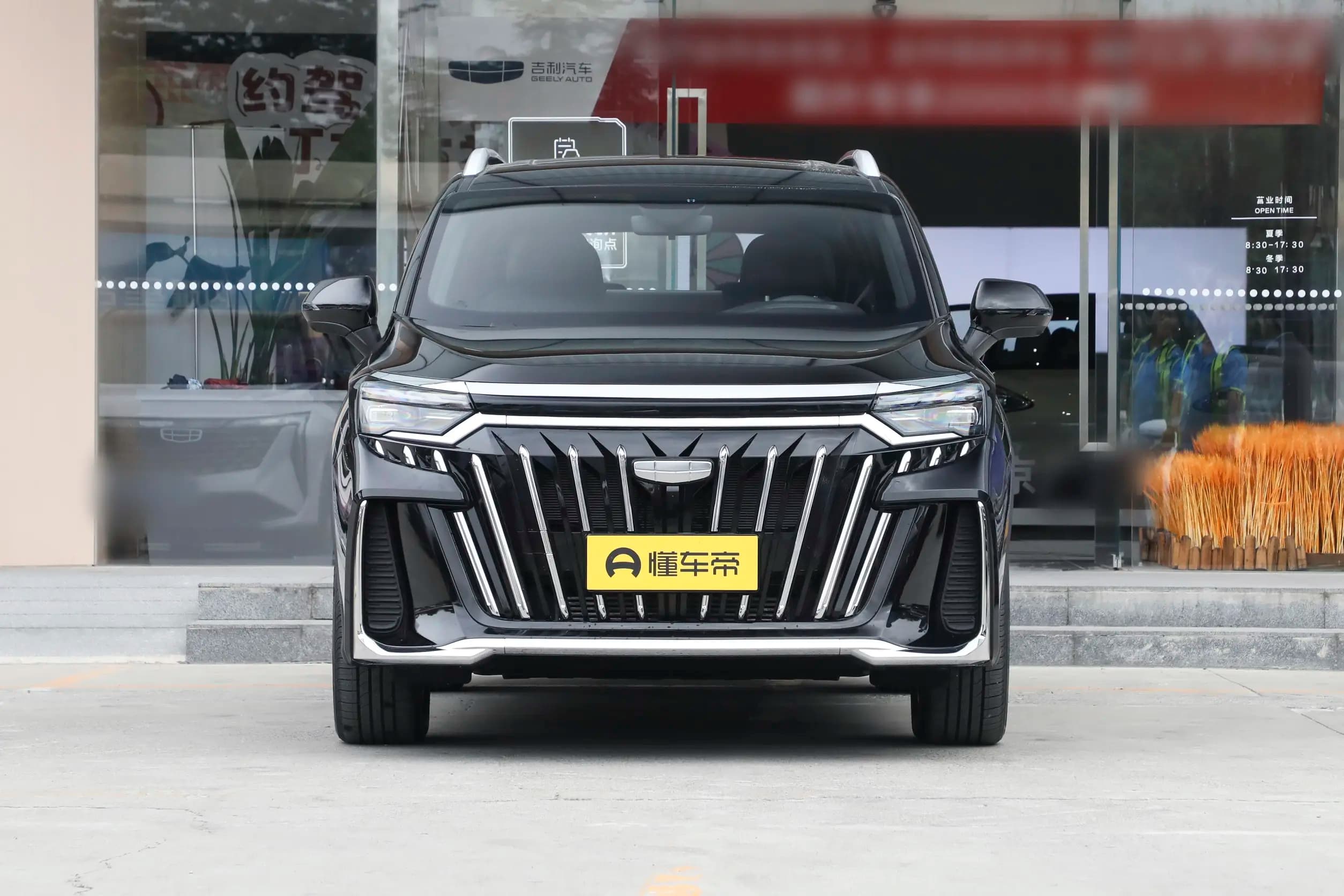 Geely Okavango (Haoyue L), изображение 2