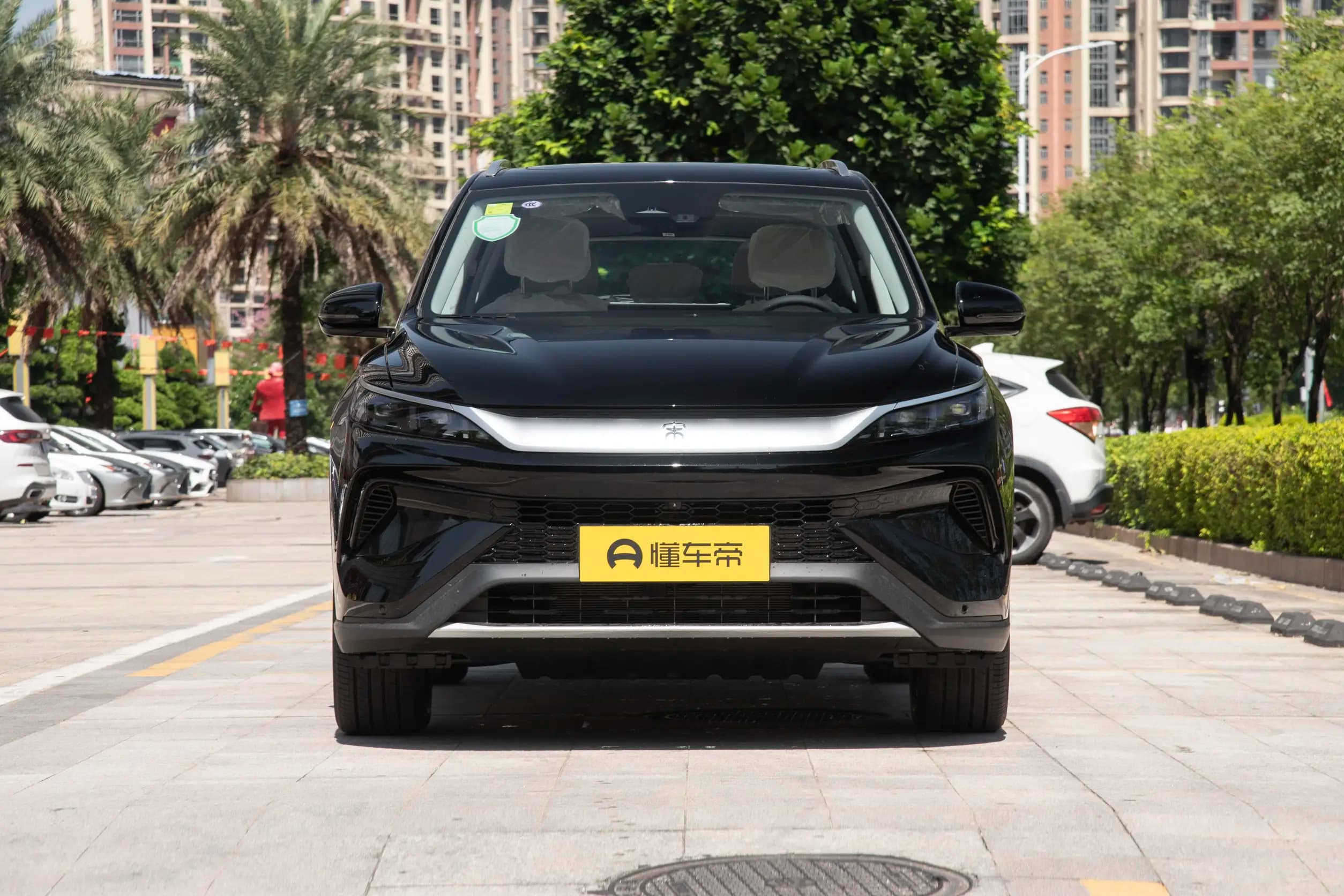 BYD Song Pro DM-i, изображение 2